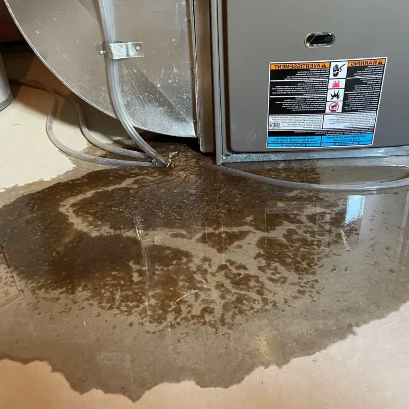 Pipe Burst and Leak Restoration in Gunnison County, CO