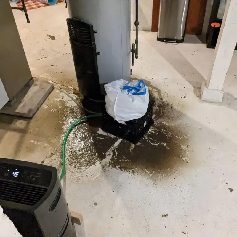 Sewage Backup Cleanup Service in Gunnison County, CO